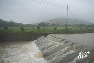 雷竞技的服务平台在哪里